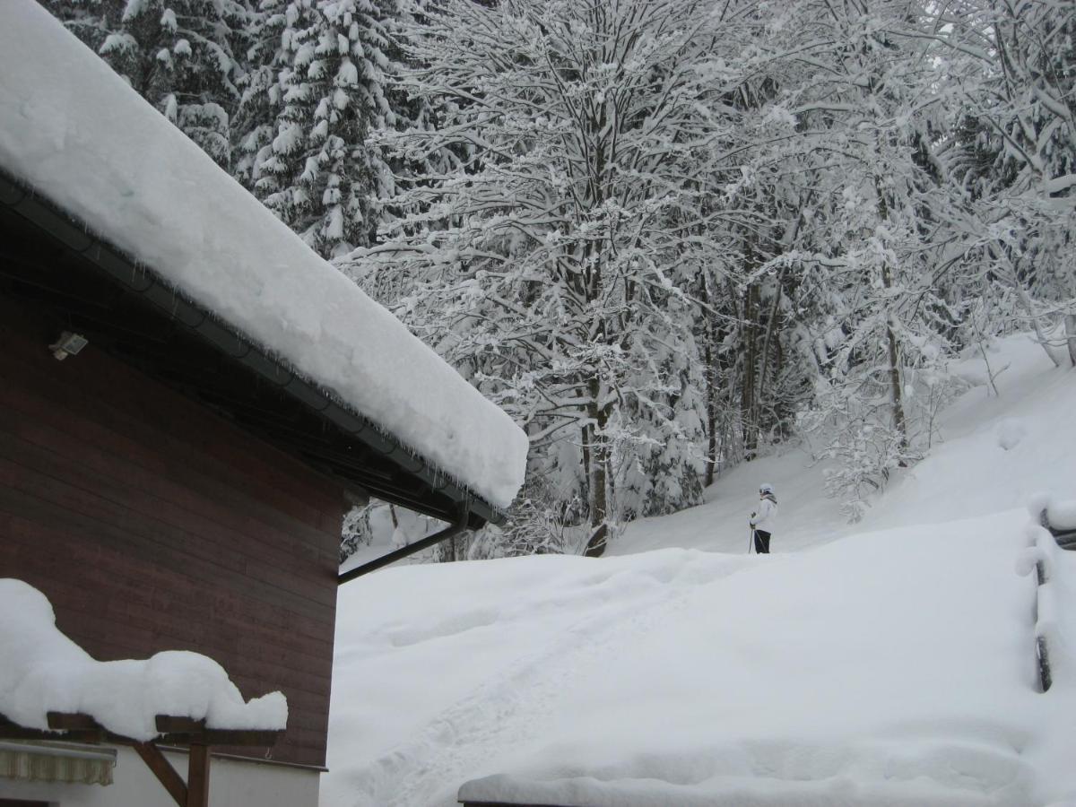 Ski-in / Ski-out Kriekels By Alpen Vakantiehuis