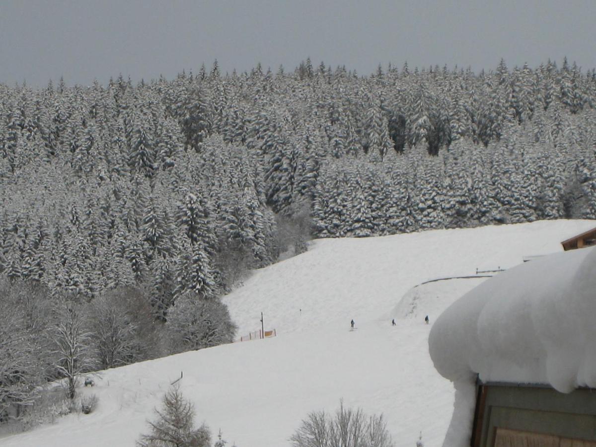 Ski-in / Ski-out Kriekels By Alpen * Zell am See