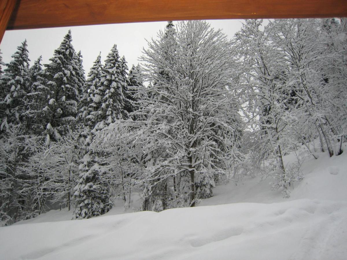 Ski-in / Ski-out Kriekels By Alpen Vakantiehuis *